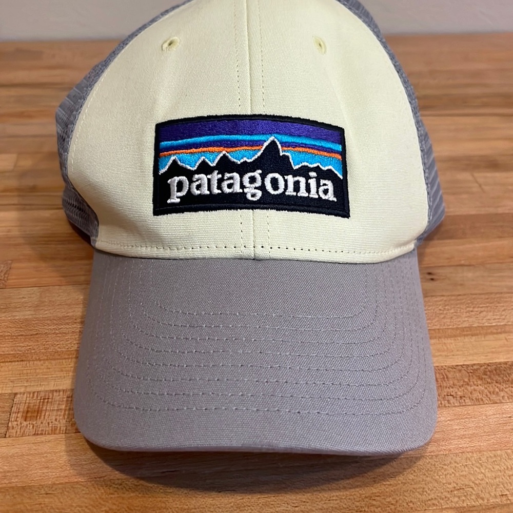 Patagonia SnapBack